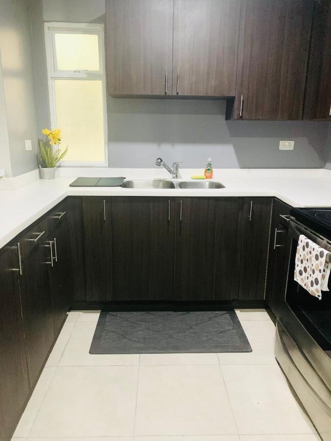 Odyssey On The 5Th - Exquisite Luxury Apt كينغستون المظهر الخارجي الصورة