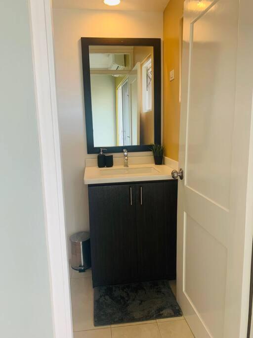 Odyssey On The 5Th - Exquisite Luxury Apt كينغستون المظهر الخارجي الصورة